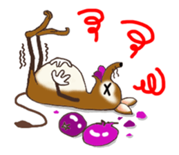 I am an elephant shrew sticker #6741778