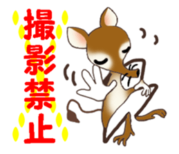 I am an elephant shrew sticker #6741790