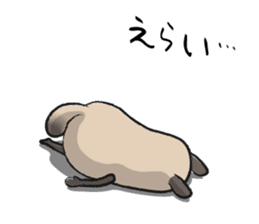 Sanuki-dialect! Pon & Poko the racoon sticker #6742010