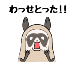 Sanuki-dialect! Pon & Poko the racoon sticker #6742022