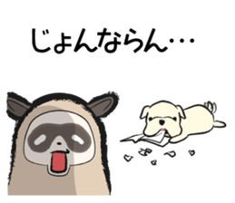 Sanuki-dialect! Pon & Poko the racoon sticker #6742023