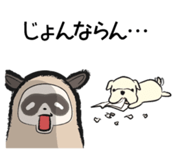 Sanuki-dialect! Pon & Poko the racoon sticker #6742023