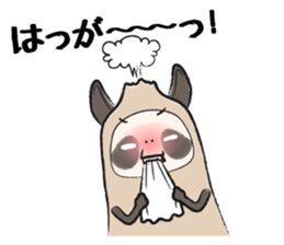 Sanuki-dialect! Pon & Poko the racoon sticker #6742027