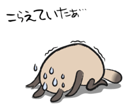 Sanuki-dialect! Pon & Poko the racoon sticker #6742033