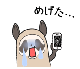 Sanuki-dialect! Pon & Poko the racoon sticker #6742037