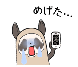 Sanuki-dialect! Pon & Poko the racoon sticker #6742037