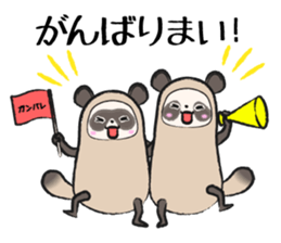 Sanuki-dialect! Pon & Poko the racoon sticker #6742038
