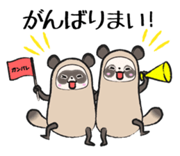 Sanuki-dialect! Pon & Poko the racoon sticker #6742038