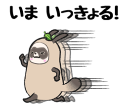 Sanuki-dialect! Pon & Poko the racoon sticker #6742045