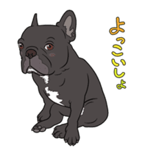French bulldog Friend 3 sticker #6745025