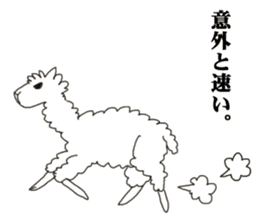 Daily life of alpaca sticker #6745889