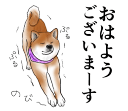 Japanese Shiba inu stickers!2 sticker #6746249