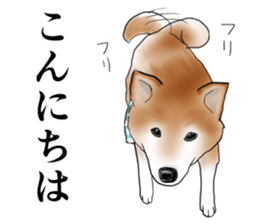 Japanese Shiba inu stickers!2 sticker #6746250