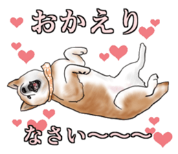 Japanese Shiba inu stickers!2 sticker #6746253