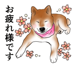 Japanese Shiba inu stickers!2 sticker #6746255