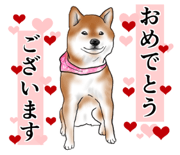 Japanese Shiba inu stickers!2 sticker #6746256