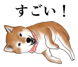 Japanese Shiba inu stickers!2 sticker #6746257