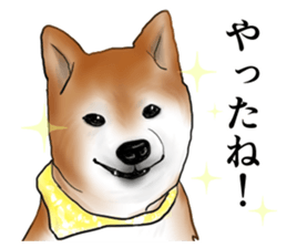 Japanese Shiba inu stickers!2 sticker #6746258