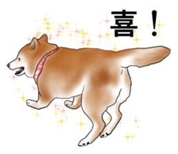 Japanese Shiba inu stickers!2 sticker #6746259