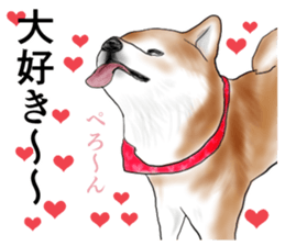Japanese Shiba inu stickers!2 sticker #6746260