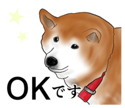 Japanese Shiba inu stickers!2 sticker #6746263