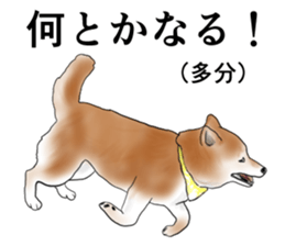 Japanese Shiba inu stickers!2 sticker #6746265