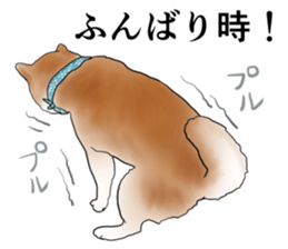 Japanese Shiba inu stickers!2 sticker #6746266