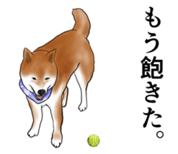 Japanese Shiba inu stickers!2 sticker #6746272