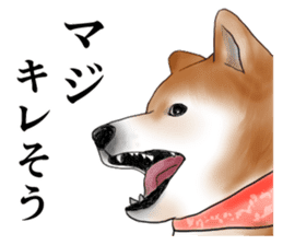 Japanese Shiba inu stickers!2 sticker #6746275