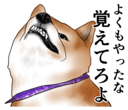 Japanese Shiba inu stickers!2 sticker #6746276