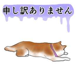 Japanese Shiba inu stickers!2 sticker #6746277