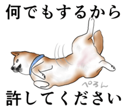 Japanese Shiba inu stickers!2 sticker #6746278