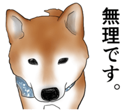 Japanese Shiba inu stickers!2 sticker #6746281
