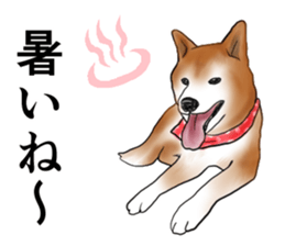 Japanese Shiba inu stickers!2 sticker #6746282