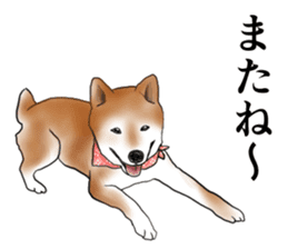 Japanese Shiba inu stickers!2 sticker #6746286