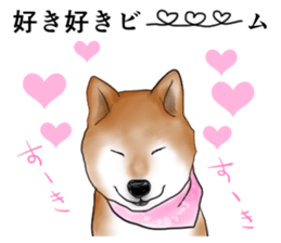 Japanese Shiba inu stickers!2 sticker #6746287