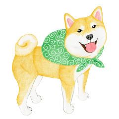 Shiba Sticker (English)