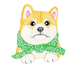 Shiba Sticker (English) sticker #6746288