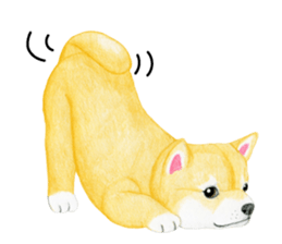 Shiba Sticker (English) sticker #6746289