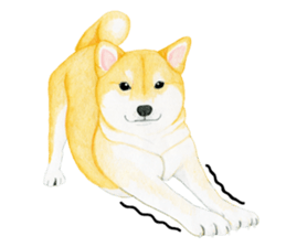 Shiba Sticker (English) sticker #6746291