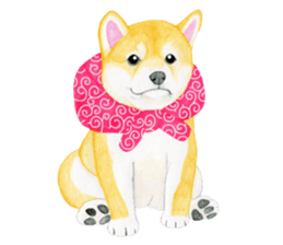 Shiba Sticker (English) sticker #6746292