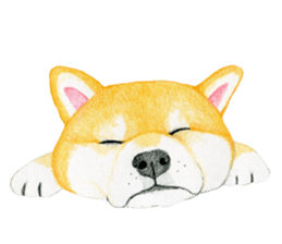 Shiba Sticker (English) sticker #6746293