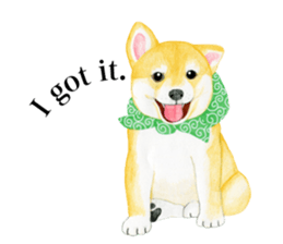 Shiba Sticker (English) sticker #6746301
