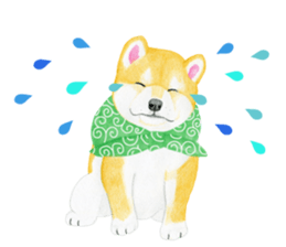 Shiba Sticker (English) sticker #6746303
