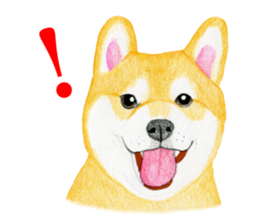 Shiba Sticker (English) sticker #6746313