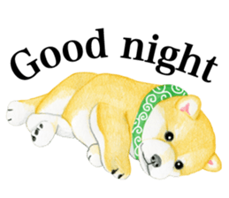 Shiba Sticker (English) sticker #6746319