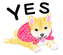 Shiba Sticker (English) sticker #6746325