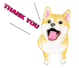 Shiba Sticker (English) sticker #6746327