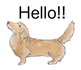 Riku of the miniature dachshund. sticker #6747728