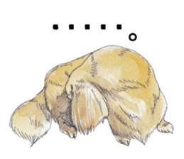 Riku of the miniature dachshund. sticker #6747733